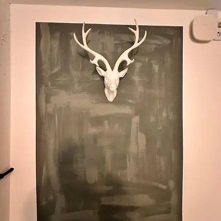 Carotel -zum Bunten Hund- Complete 아파트