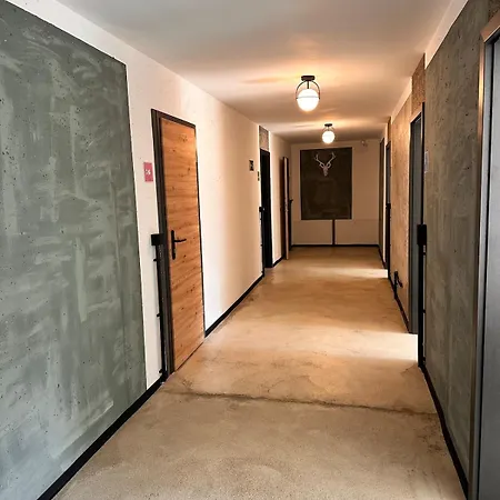 Carotel -zum Bunten Hund- Complete 아파트