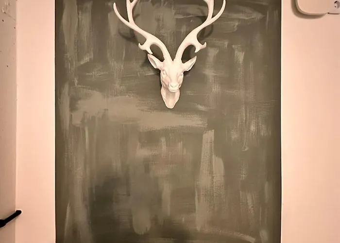 Carotel -zum Bunten Hund- Complete Appartamento