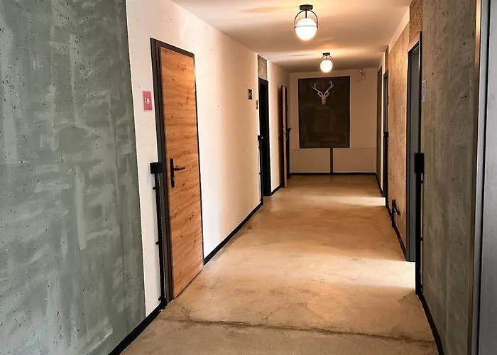 Carotel -zum Bunten Hund- Complete شقة